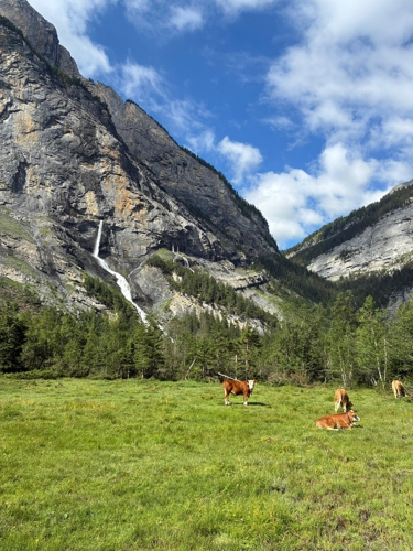 trek or hut image